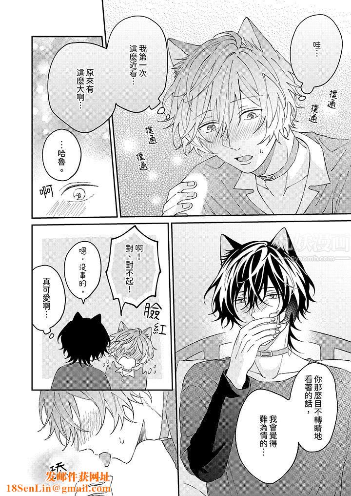 哈鲁和路伊的二喵世界lovelife！第12话