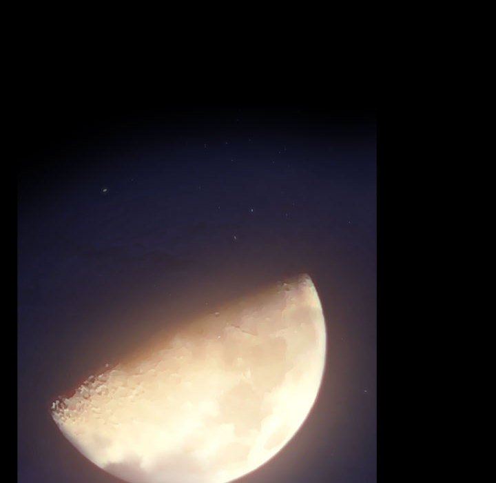 小孩子才做选择第36话