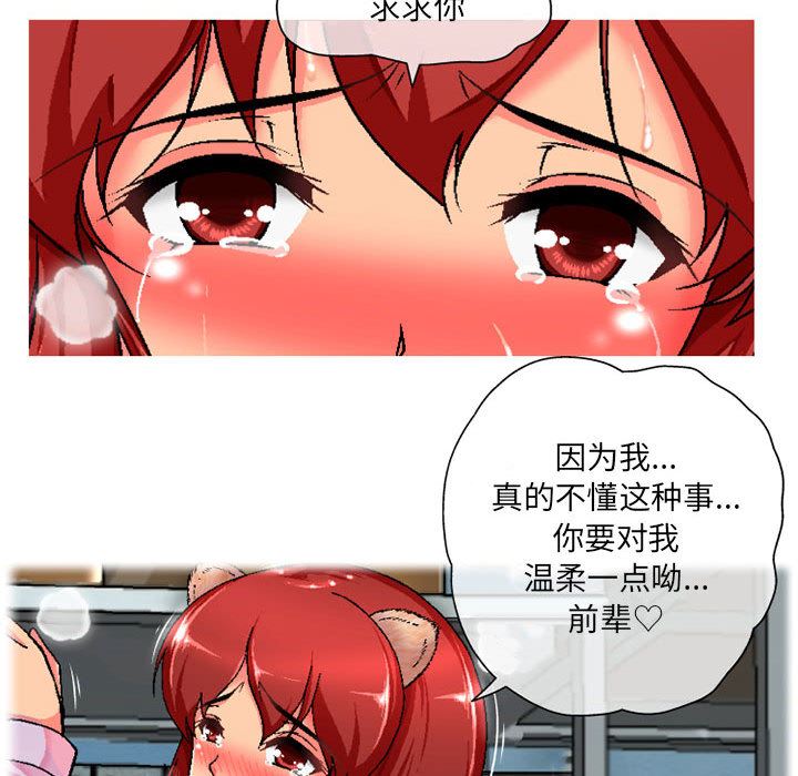 上司的尾巴摸不得第1话