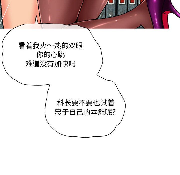 上司的尾巴摸不得第2话
