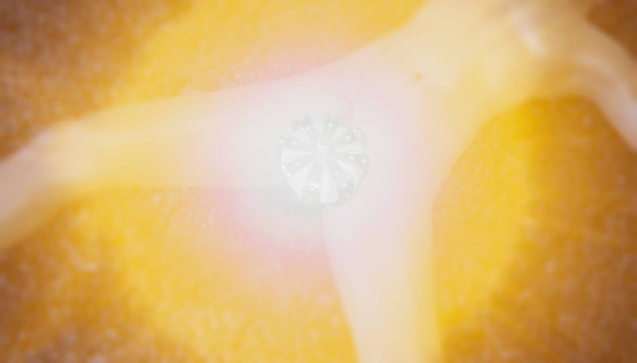 [3D]为所欲为58-魔都大战篇最终话