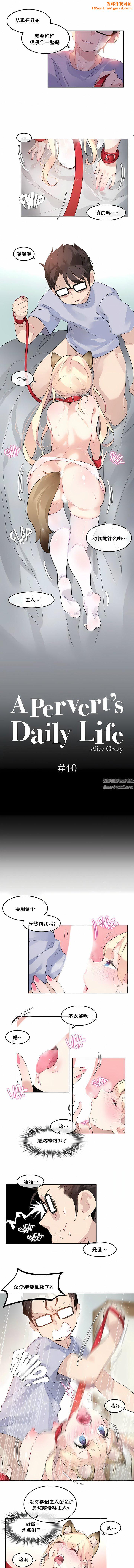 一个变态的日常生活第40话
