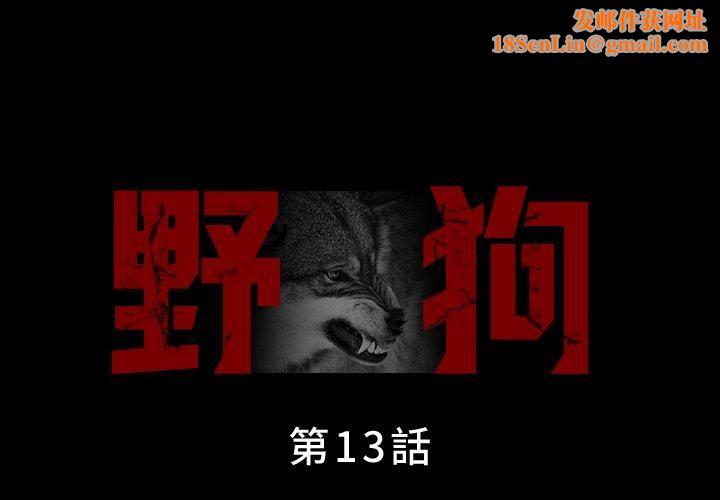 野狗第13话