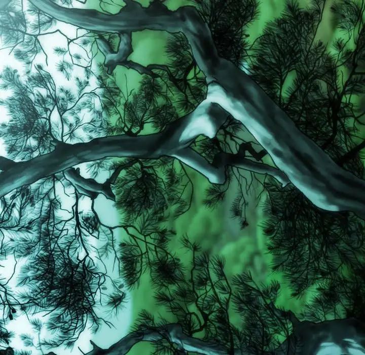 不可抗拒的吸引第19话