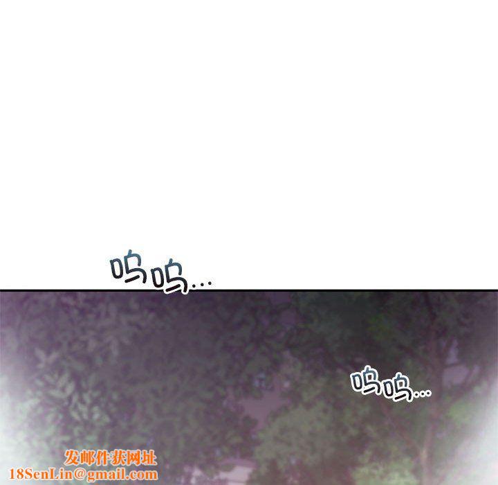 乘风高飞第36话