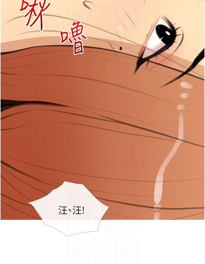 糖果爸爸的抢婚大作战第28話-聽話的母狗有糖吃