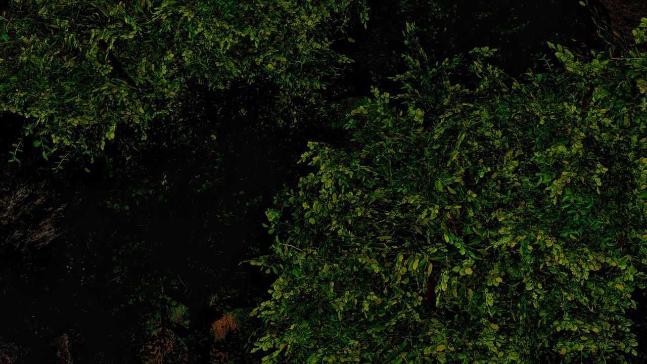 [3D]死灵法师第09话