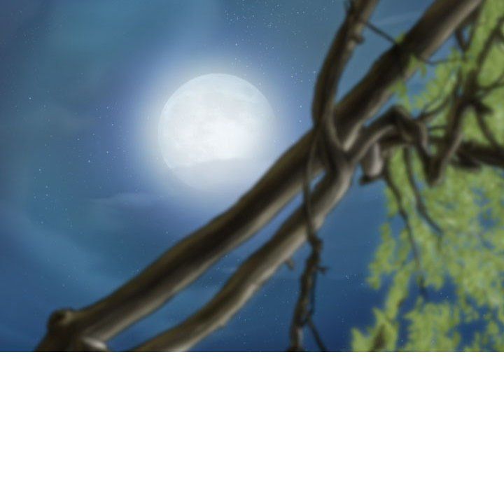 不可抗拒的吸引第25话