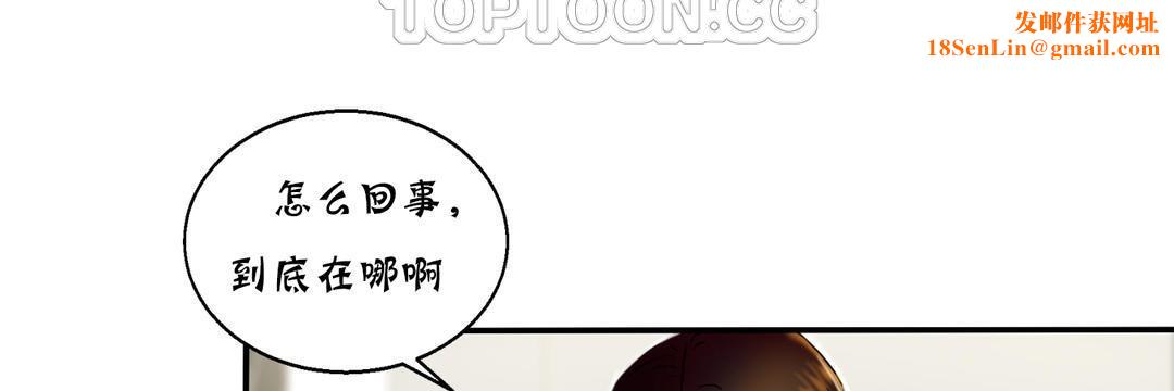 夫人的礼物第13话