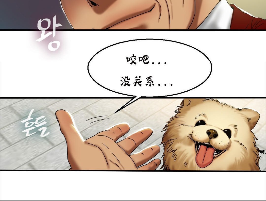 夫人的礼物第15话