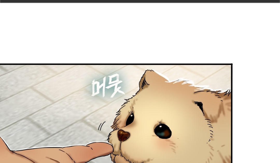 夫人的礼物第15话