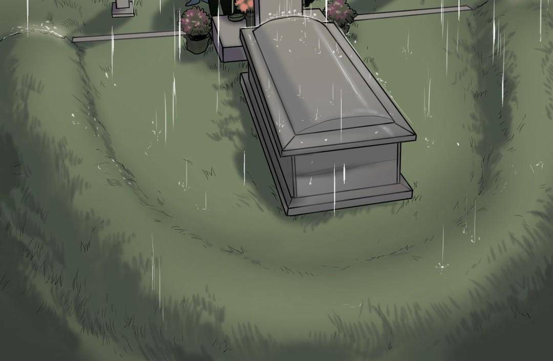 夫人的礼物第38话