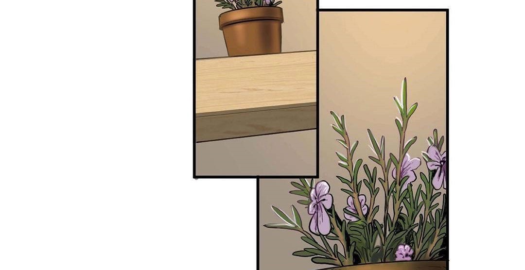 夫人的礼物第42话