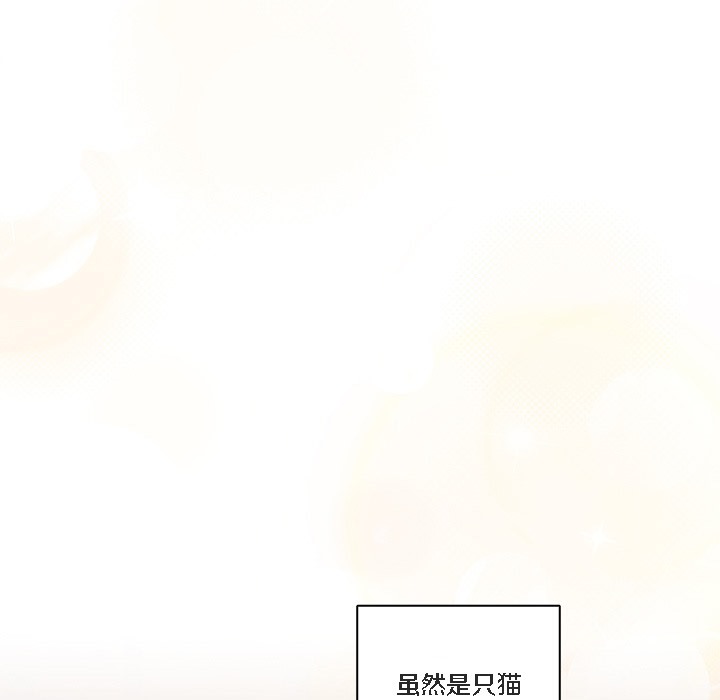 猫猫牵红线第1话