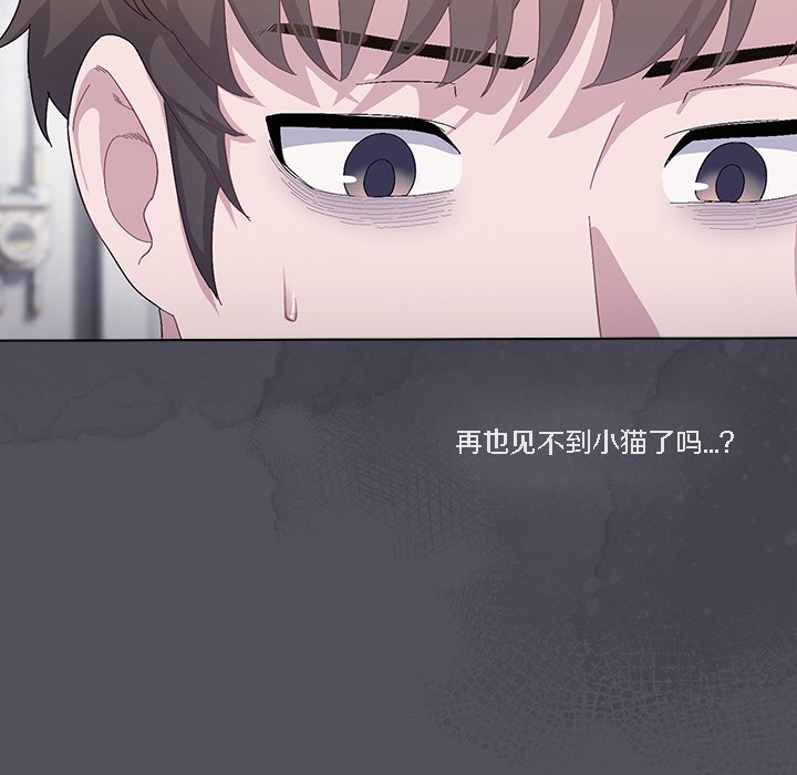 猫猫牵红线第1话