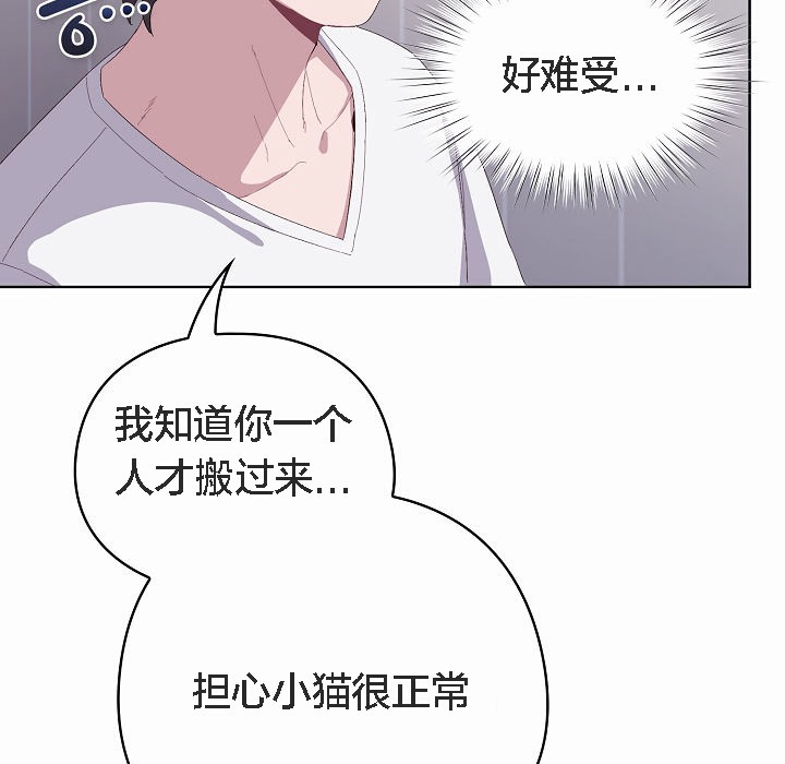 猫猫牵红线第2话