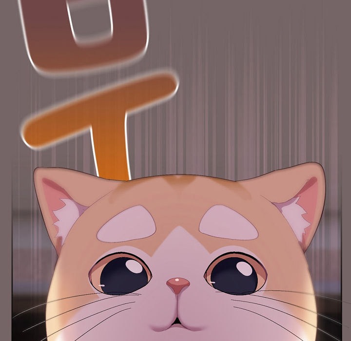 猫猫牵红线第3话