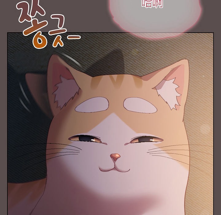 猫猫牵红线第7话
