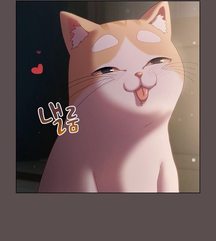 猫猫牵红线第9话