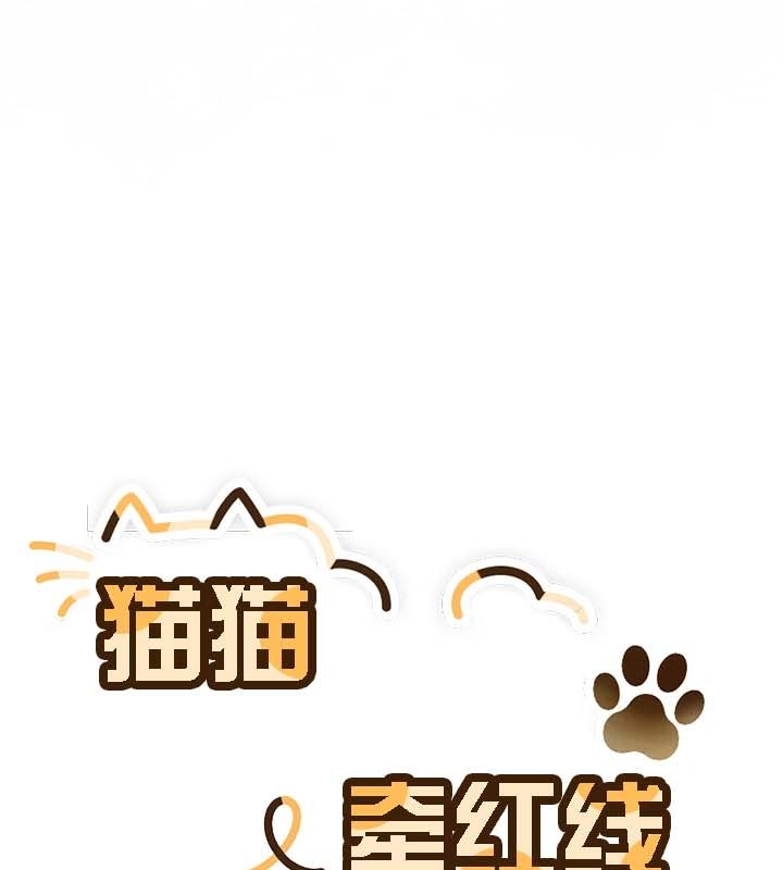 猫猫牵红线第12话