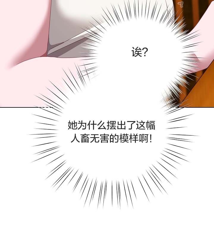 猫猫牵红线第12话