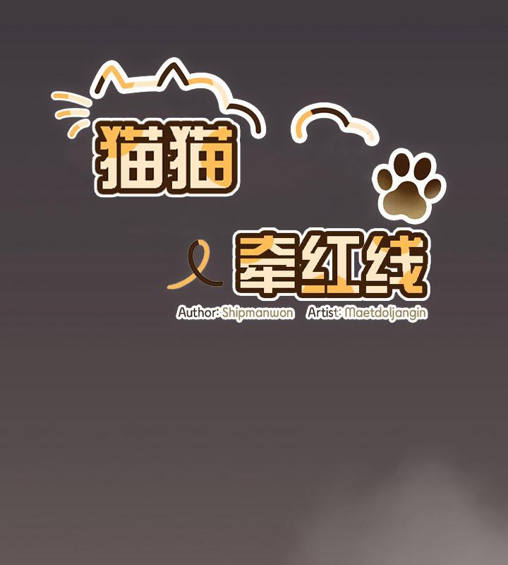 猫猫牵红线第14话