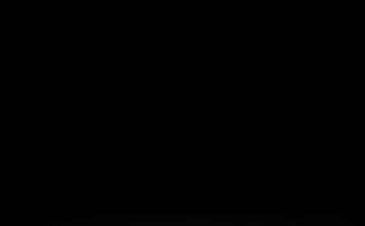 处子猎人第31话