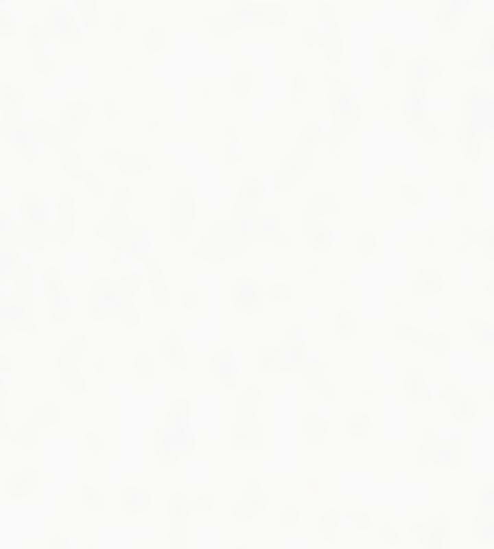 重生士兵的雌性征服日誌!第24话