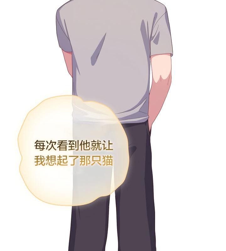 猫猫牵红线第19話