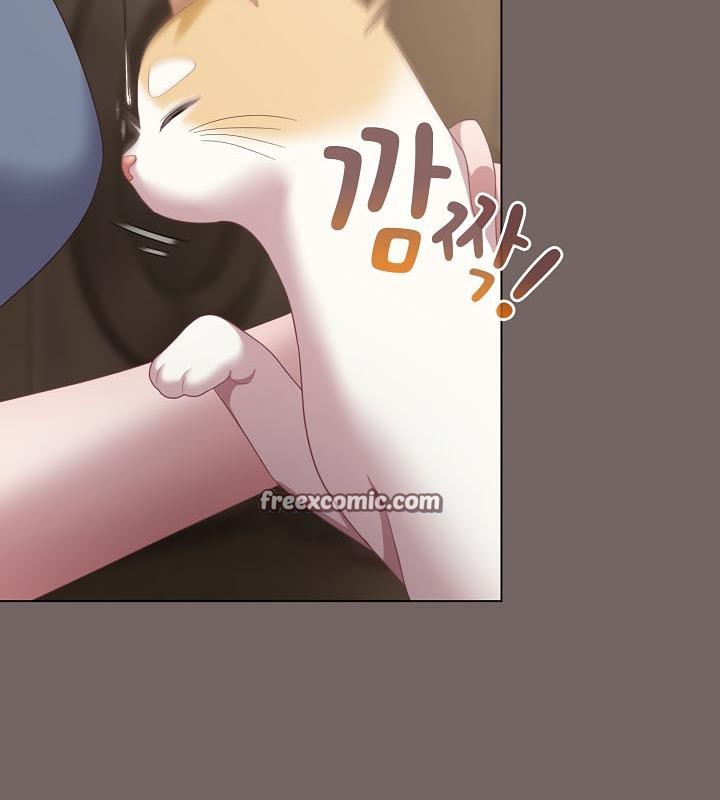 猫猫牵红线第20話