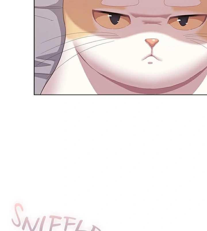 猫猫牵红线第23話