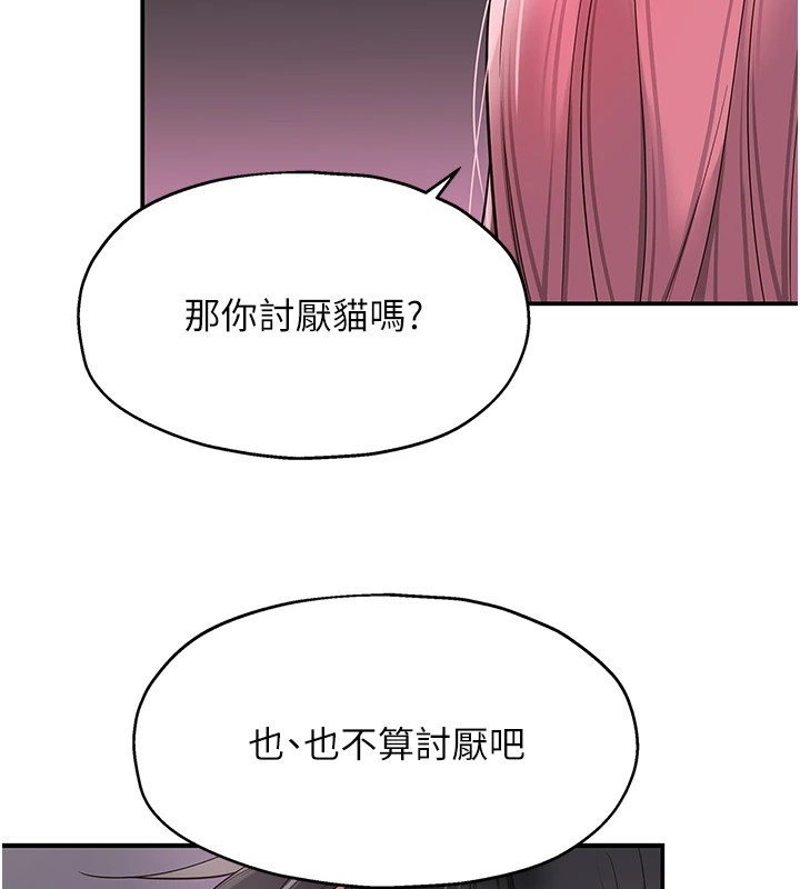 洞洞杂货店第115話-性感小野貓登門報答