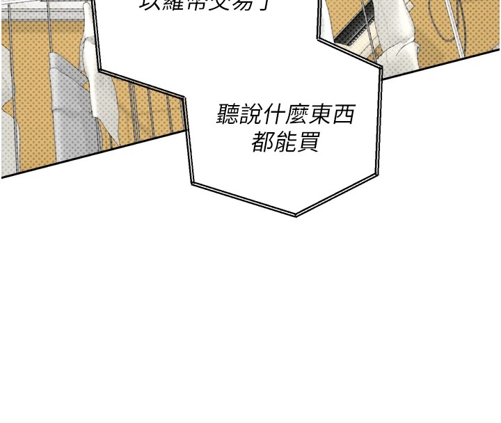 币转人生第1话-以罗币一涨，人生大逆转