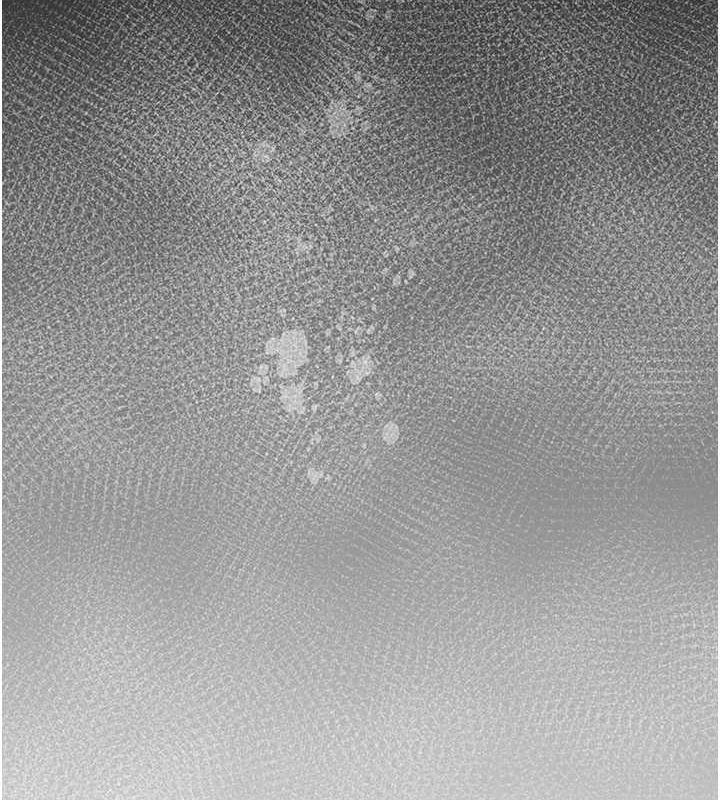 花容湿色:取花点第38話-讓我看看妳的蜜穴