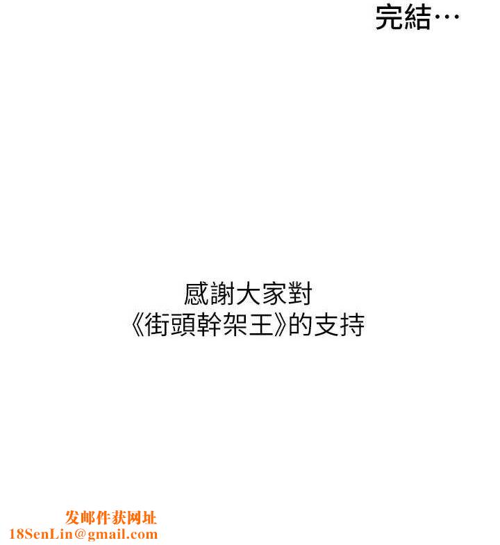 街头干架王最終話-尋找幸福相伴一生的人