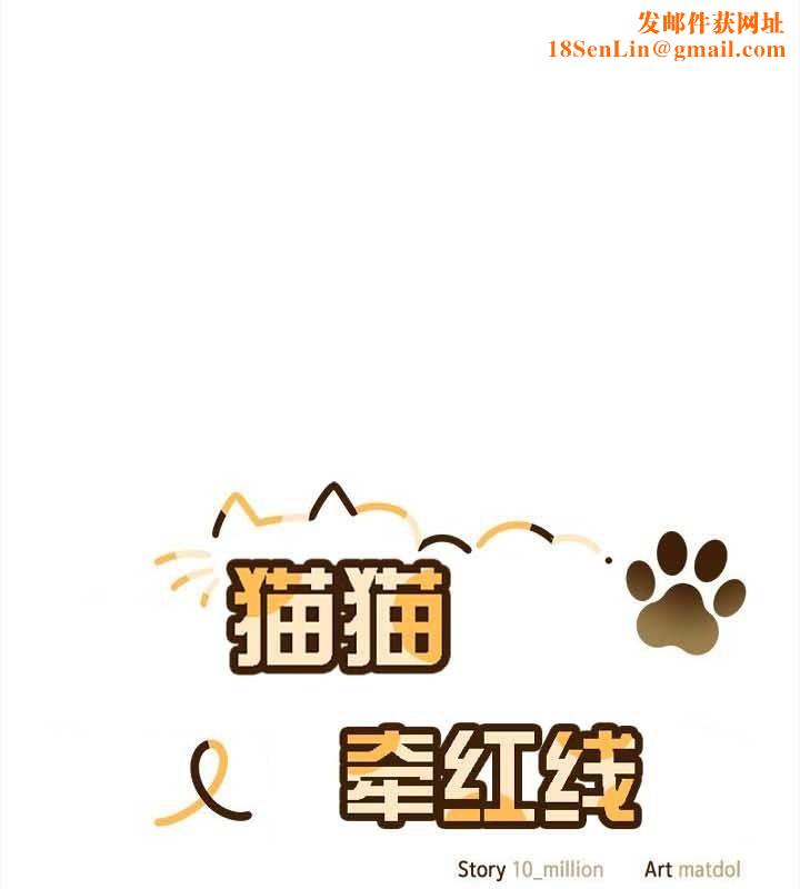 猫猫牵红线第25話