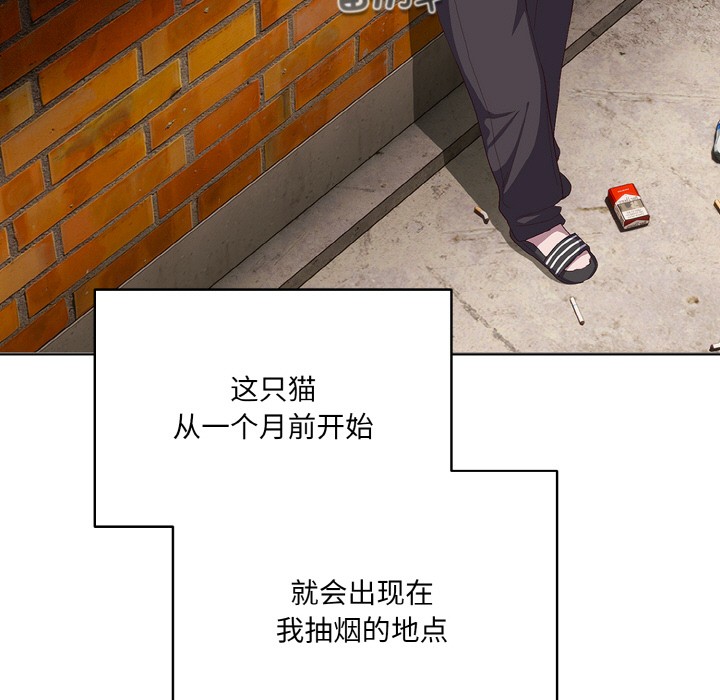 喵来的恋爱第1话