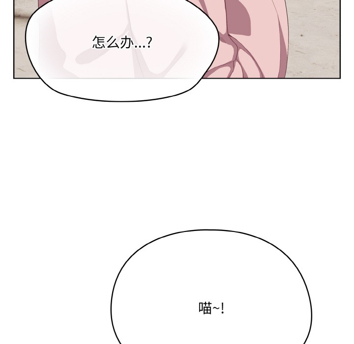 喵来的恋爱第1话