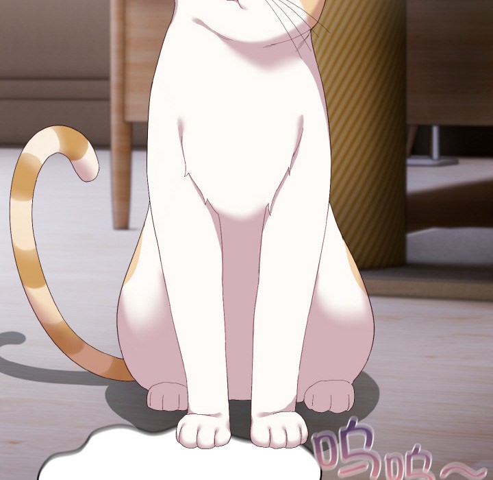 喵来的恋爱第2话