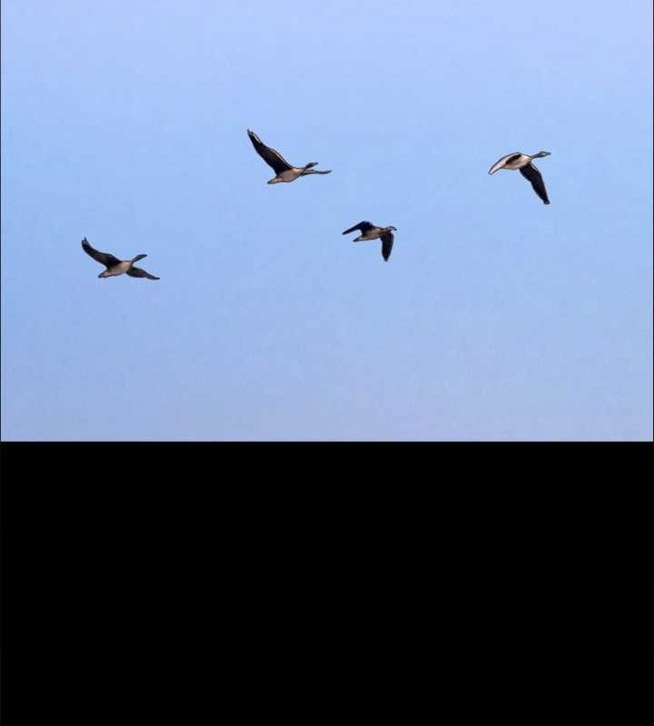 协议换爱(无码版)最終話-快樂結束之後的沒落