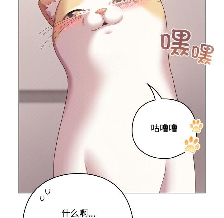 喵来的恋爱第10話