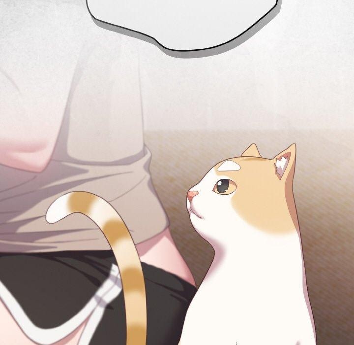 喵来的恋爱第11話