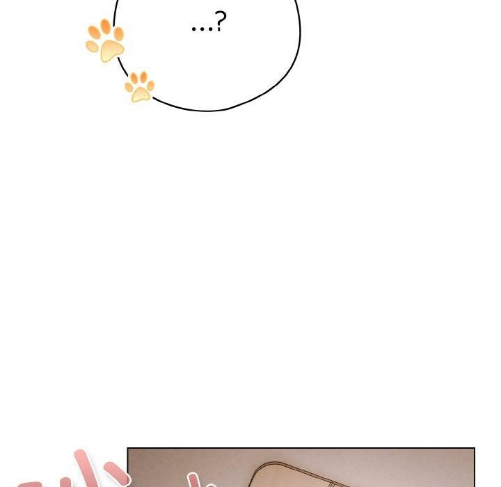 喵来的恋爱第13話