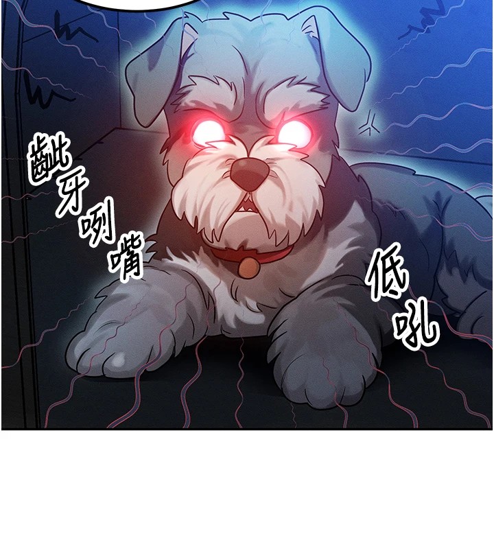 等价交换人生第1话-交换肉体横刀夺爱