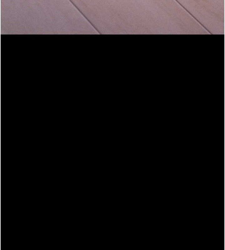 选手村:母猪调教第25話-眼中只有主人的肉棒…!