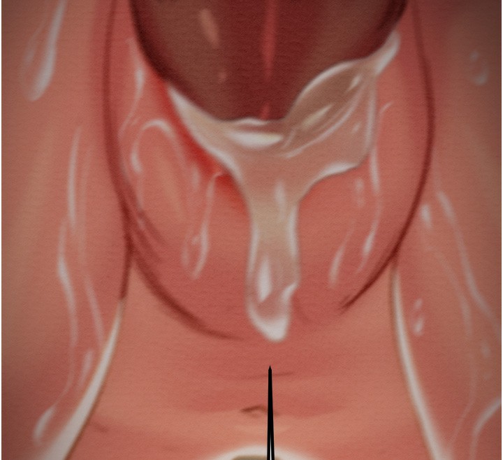 掠夺行动第53話-掠奪成功的快感