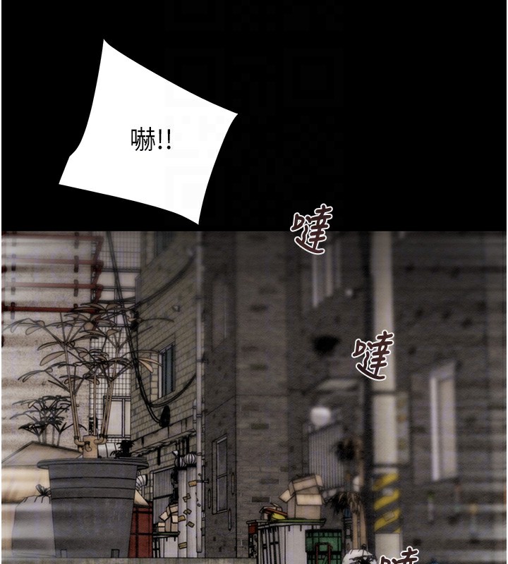 掠夺行动第53話-掠奪成功的快感