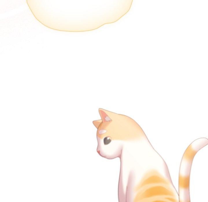 喵来的恋爱第19話