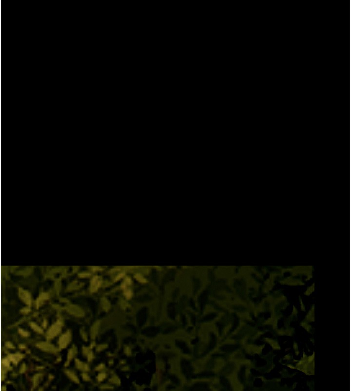 老师的亲密指导第54話-心醉學子無情打樁機