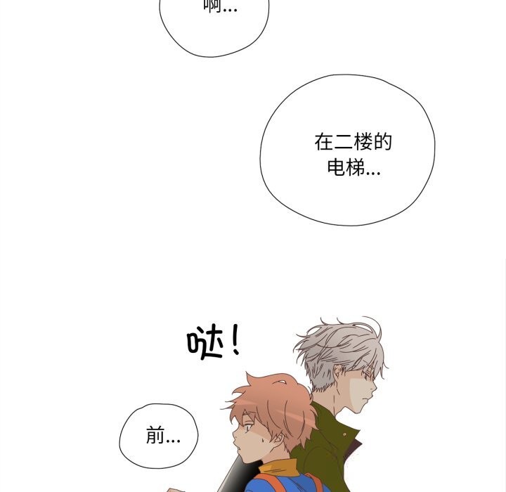 纯洁之罪第10話